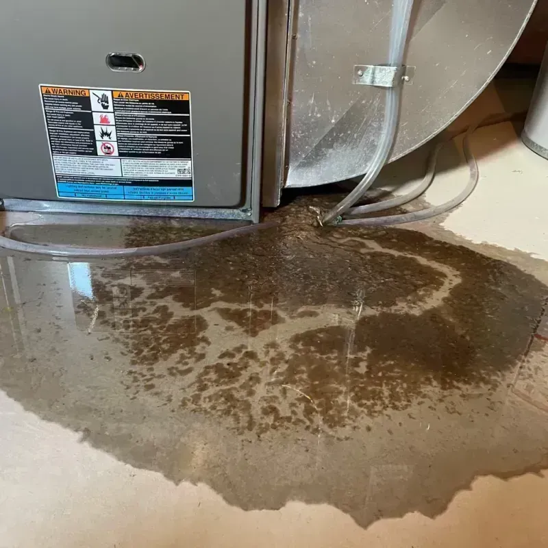 Appliance Leak Cleanup in Montgomery County, IL